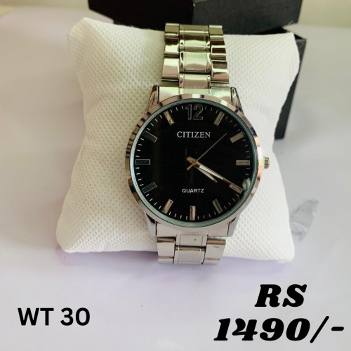 WT 30- Silver Colored Watch