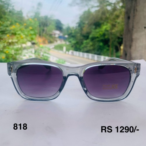 FS 818 Sunglass