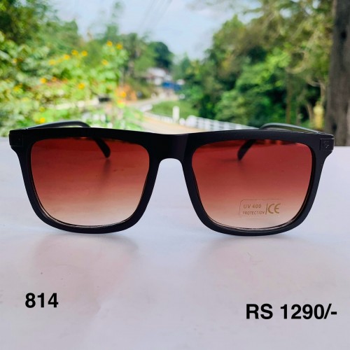 FS 814 Sunglass