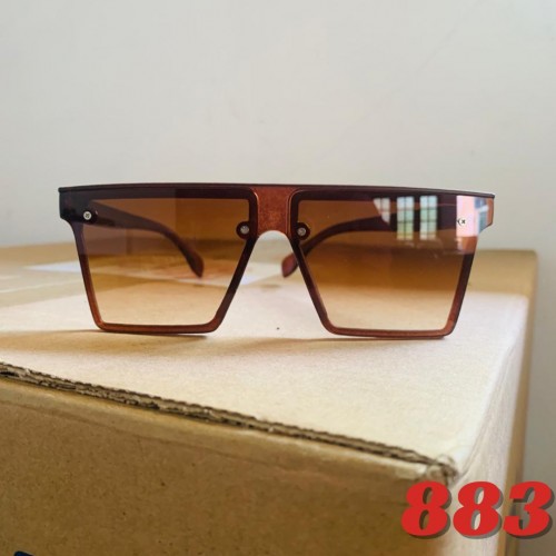 FS 883 Sunglass