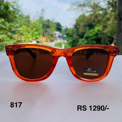 FS 817 Sunglass