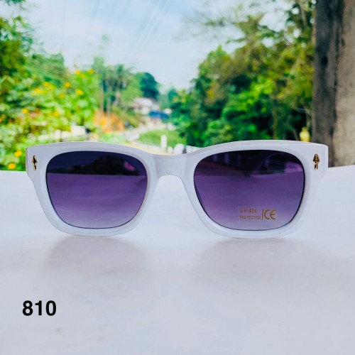 FS 810 Sunglass
